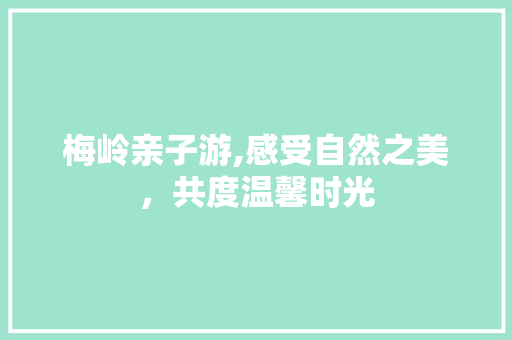 梅岭亲子游,感受自然之美，共度温馨时光  第1张