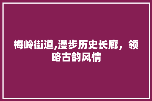 梅岭街道,漫步历史长廊，领略古韵风情  第1张