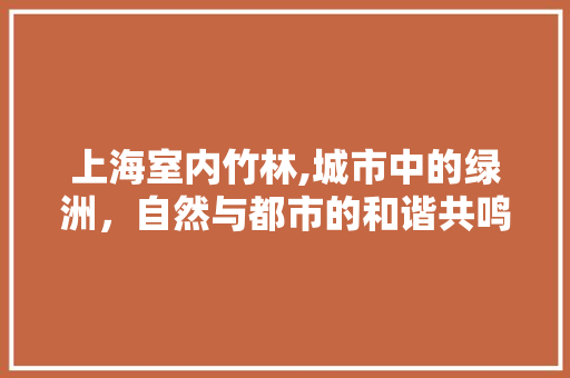 上海室内竹林,城市中的绿洲，自然与都市的和谐共鸣