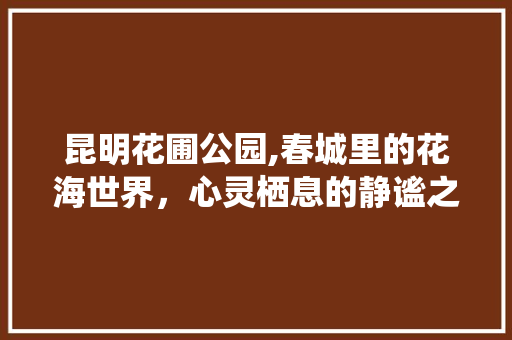 昆明花圃公园,春城里的花海世界，心灵栖息的静谧之地