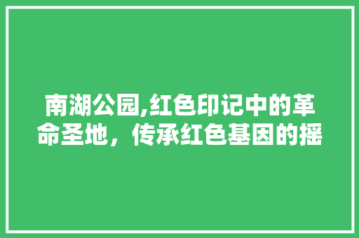 南湖公园,红色印记中的革命圣地，传承红色基因的摇篮  第1张