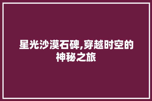 星光沙漠石碑,穿越时空的神秘之旅  第1张