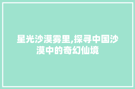 星光沙漠雾里,探寻中国沙漠中的奇幻仙境  第1张