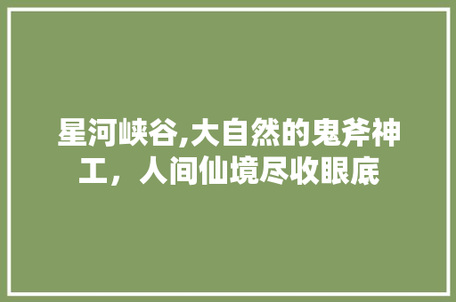 星河峡谷,大自然的鬼斧神工，人间仙境尽收眼底  第1张