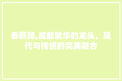 春熙路,成都繁华的龙头，现代与传统的完美融合