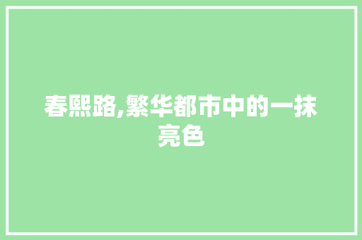 春熙路,繁华都市中的一抹亮色