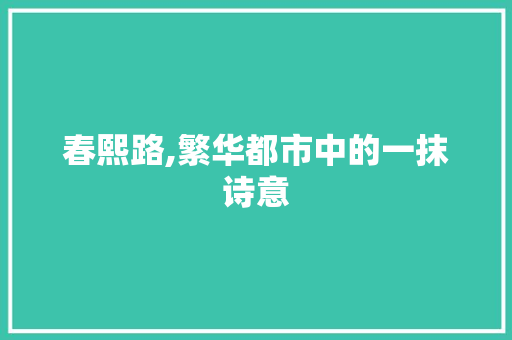 春熙路,繁华都市中的一抹诗意