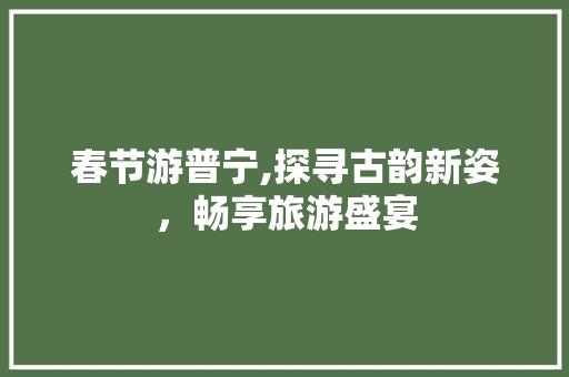 春节游普宁,探寻古韵新姿，畅享旅游盛宴  第1张