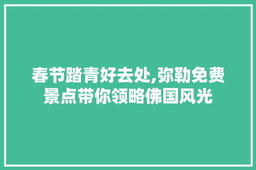 春节踏青好去处,弥勒免费景点带你领略佛国风光