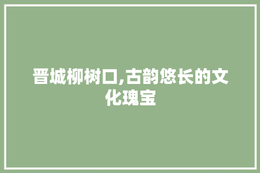 晋城柳树口,古韵悠长的文化瑰宝  第1张