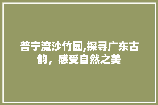 普宁流沙竹园,探寻广东古韵，感受自然之美