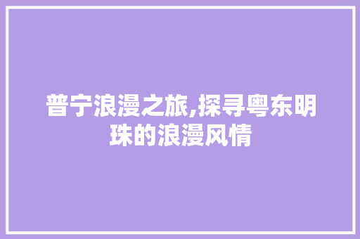 普宁浪漫之旅,探寻粤东明珠的浪漫风情