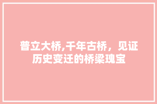 普立大桥,千年古桥，见证历史变迁的桥梁瑰宝