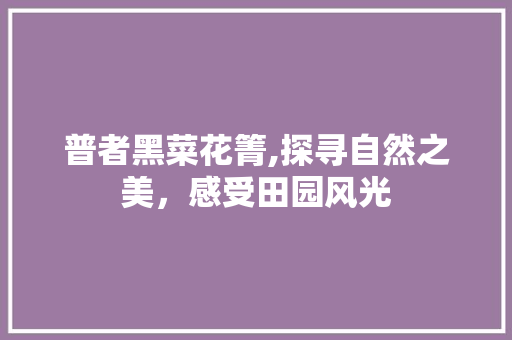 普者黑菜花箐,探寻自然之美，感受田园风光