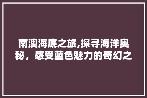 南澳海底之旅,探寻海洋奥秘，感受蓝色魅力的奇幻之旅