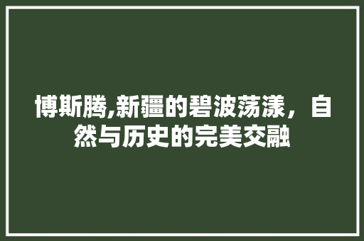 博斯腾,新疆的碧波荡漾，自然与历史的完美交融  第1张