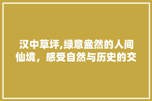 汉中草坪,绿意盎然的人间仙境，感受自然与历史的交融