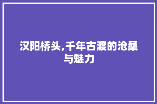 汉阳桥头,千年古渡的沧桑与魅力