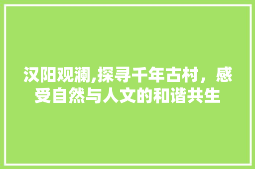 汉阳观澜,探寻千年古村，感受自然与人文的和谐共生