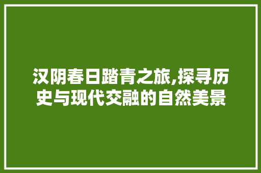 汉阴春日踏青之旅,探寻历史与现代交融的自然美景