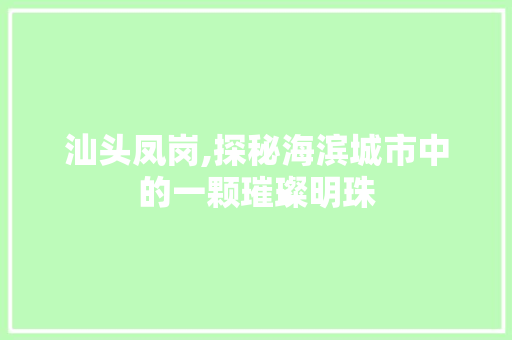 汕头凤岗,探秘海滨城市中的一颗璀璨明珠