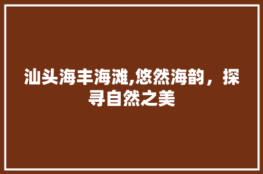 汕头海丰海滩,悠然海韵，探寻自然之美