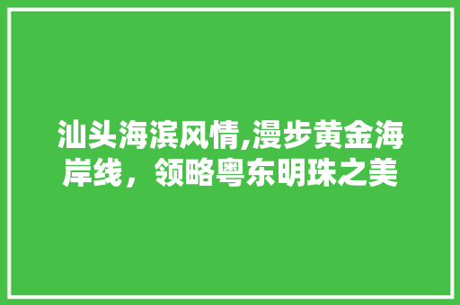 汕头海滨风情,漫步黄金海岸线，领略粤东明珠之美