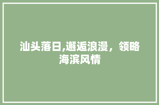 汕头落日,邂逅浪漫，领略海滨风情  第1张