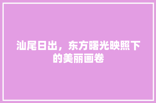 汕尾日出，东方曙光映照下的美丽画卷