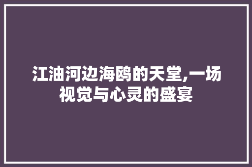 江油河边海鸥的天堂,一场视觉与心灵的盛宴