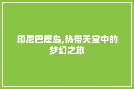 印尼巴厘岛,热带天堂中的梦幻之旅