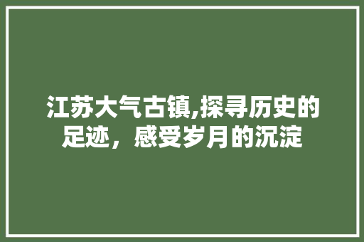 江苏大气古镇,探寻历史的足迹，感受岁月的沉淀