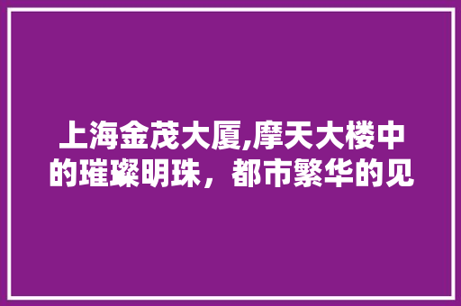 上海金茂大厦,摩天大楼中的璀璨明珠，都市繁华的见证者