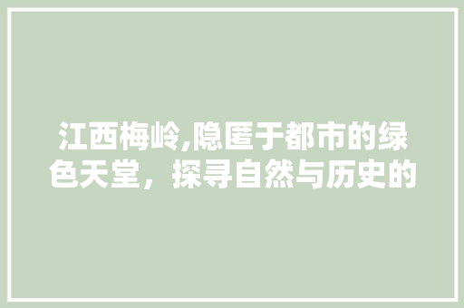 江西梅岭,隐匿于都市的绿色天堂，探寻自然与历史的交融  第1张