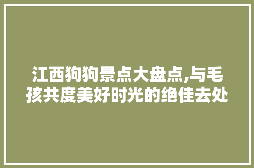 江西狗狗景点大盘点,与毛孩共度美好时光的绝佳去处  第1张