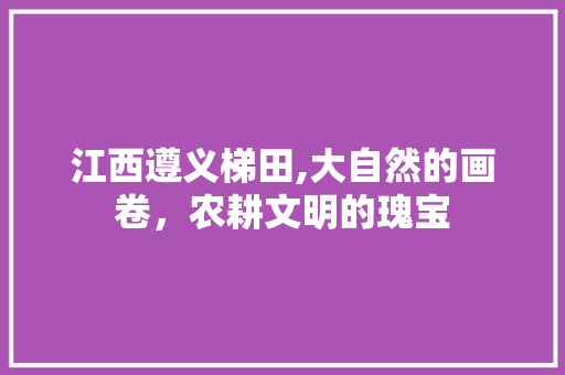 江西遵义梯田,大自然的画卷，农耕文明的瑰宝  第1张