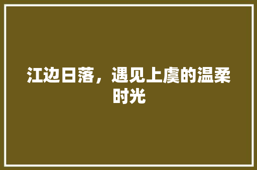 江边日落，遇见上虞的温柔时光