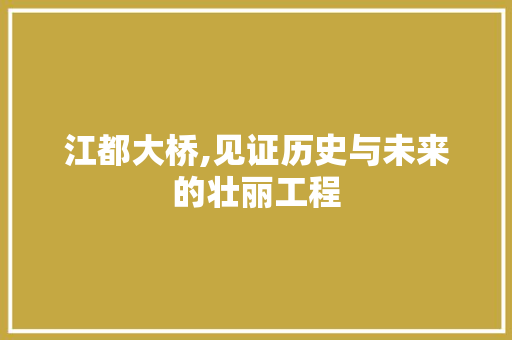 江都大桥,见证历史与未来的壮丽工程