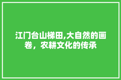 江门台山梯田,大自然的画卷，农耕文化的传承