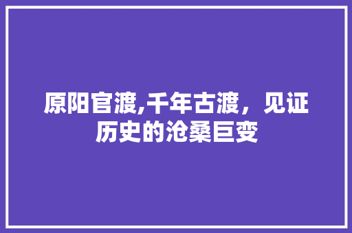 原阳官渡,千年古渡，见证历史的沧桑巨变