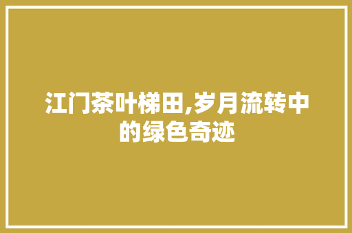 江门茶叶梯田,岁月流转中的绿色奇迹