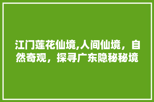 江门莲花仙境,人间仙境，自然奇观，探寻广东隐秘秘境  第1张