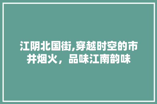 江阴北国街,穿越时空的市井烟火，品味江南韵味  第1张