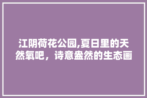 江阴荷花公园,夏日里的天然氧吧，诗意盎然的生态画卷  第1张