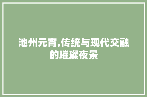 池州元宵,传统与现代交融的璀璨夜景