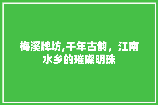 梅溪牌坊,千年古韵，江南水乡的璀璨明珠  第1张