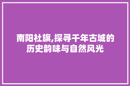 南阳社旗,探寻千年古城的历史韵味与自然风光