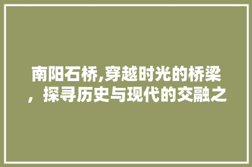 南阳石桥,穿越时光的桥梁，探寻历史与现代的交融之美