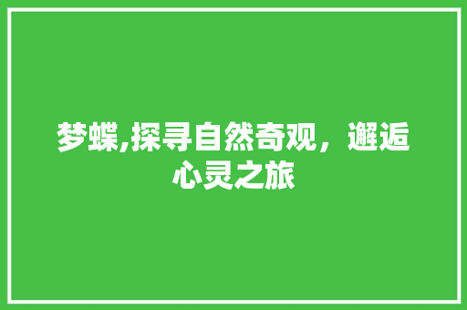 梦蝶,探寻自然奇观，邂逅心灵之旅