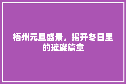 梧州元旦盛景，揭开冬日里的璀璨篇章